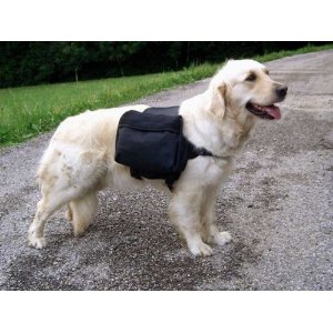 51IKjEefY+L. AA300 Rucksack für Hunde Hunderucksack für kleine mittelgroße Hunde Hundetransportrucksack Hundetrolley