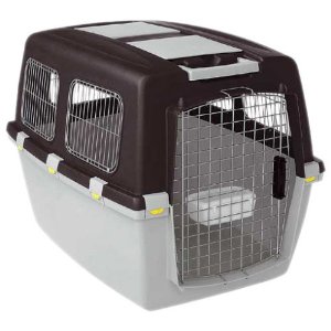 51gPIti2gjL. SL500 AA300 Gulliver 6 Transportbox Hunde Katzen Flugbox Hundebox Kunststoff von Gulliver Drybed